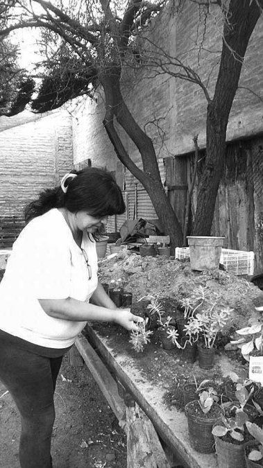 Trabajar con las plantas y reciclar la vida propia