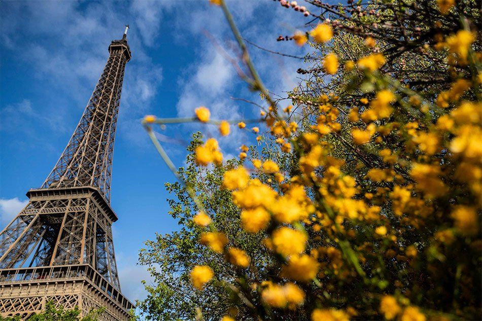 Volvió a abrir la Torre Eiffel después de 104 días