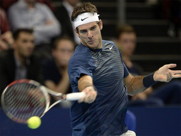 Del Potro venció a Mathieu y avanzó en Rotterdam