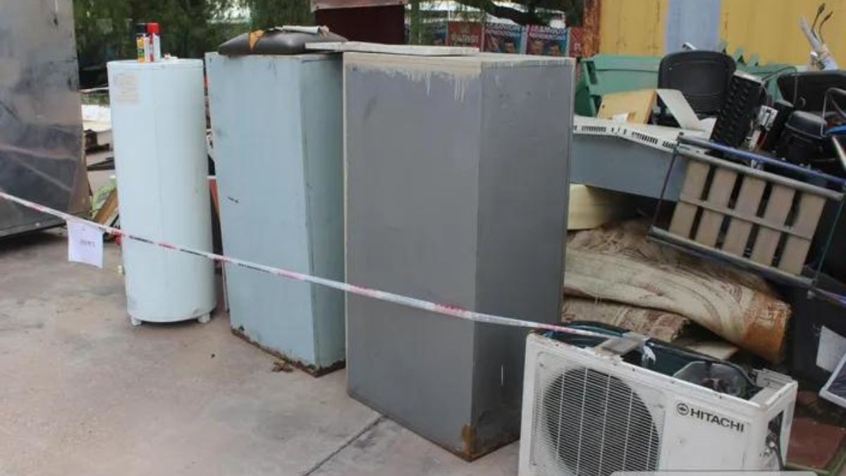 El catálogo completo ya está disponible y se pueden conocer los precios de base de la subasta. El catálogo completo ya está disponible y se pueden conocer los precios de base de la subasta.