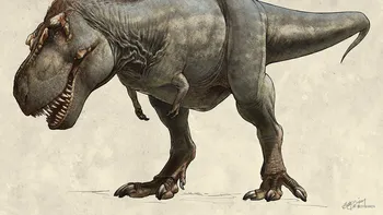 Los científicos descubren al fin por qué el tiranosaurio tenía los brazos tan pequeños Los científicos descubren al fin por qué el tiranosaurio tenía los brazos tan pequeños