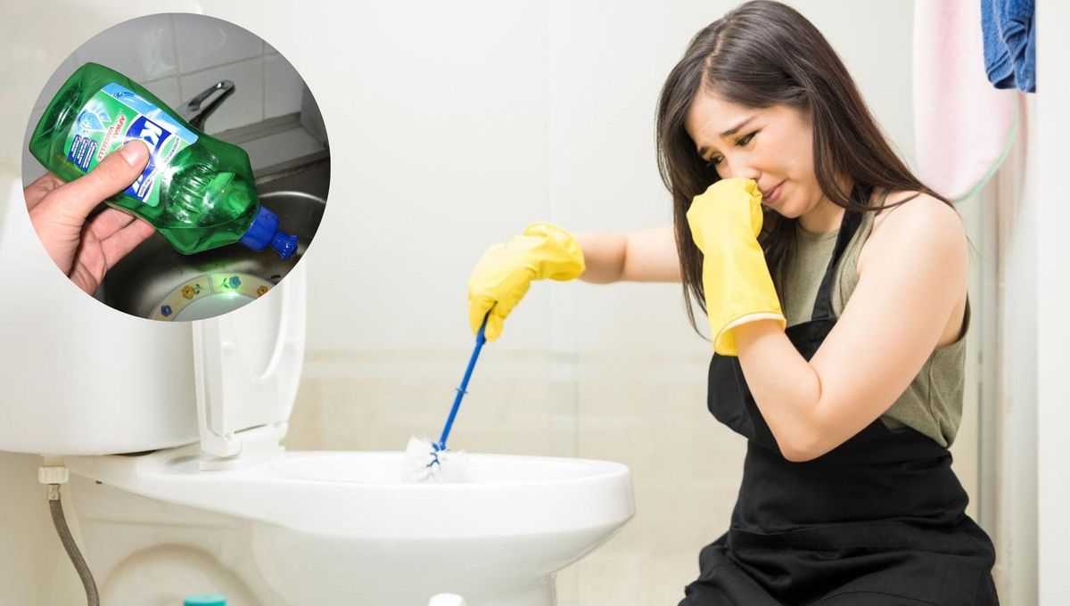 Cómo eliminar el olor a pis del baño usando un poco de detergente: mezcla casera efectiva