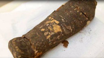 Un escáner muestra que una momia egipcia de halcón no es nada de lo que se creía