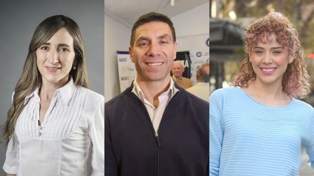 Mercedes Llano, Facundo Correa Llano y Lourdes Arrieta, espadas de La Libertad Avanza en la Cámara Baja del Congreso.