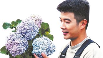 La jardinería alivia a jóvenes bajo estrés La jardinería alivia a jóvenes bajo estrés