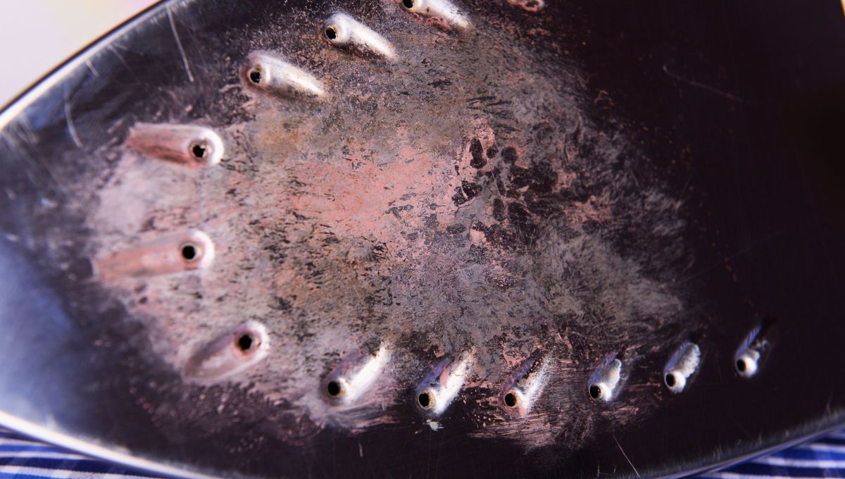 Cuando se trata de soluciones, siempre existe un truco casero de abuela por ah&iacute;, dando vueltas y esperando a ser usado.