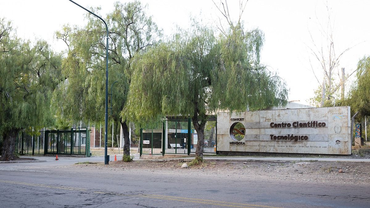 Por lo menos cinco investigadores del Conicet Mendoza ya perdieron su trabajo en la gestión de Milei. Por lo menos cinco investigadores del Conicet Mendoza ya perdieron su trabajo en la gestión de Milei.