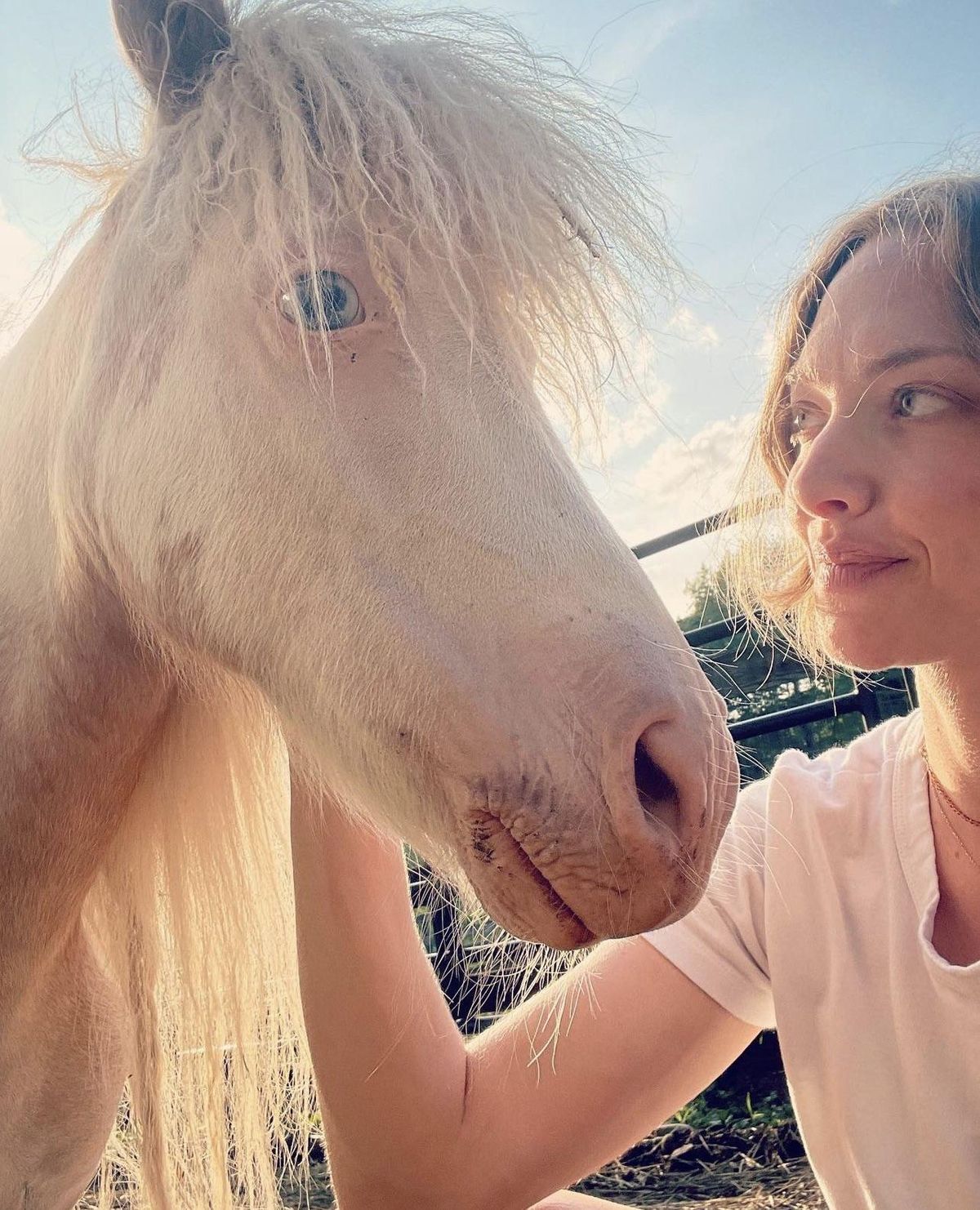 La otra cara de Amanda Seyfried: una chica amante de los animales. La otra cara de Amanda Seyfried: una chica amante de los animales. 