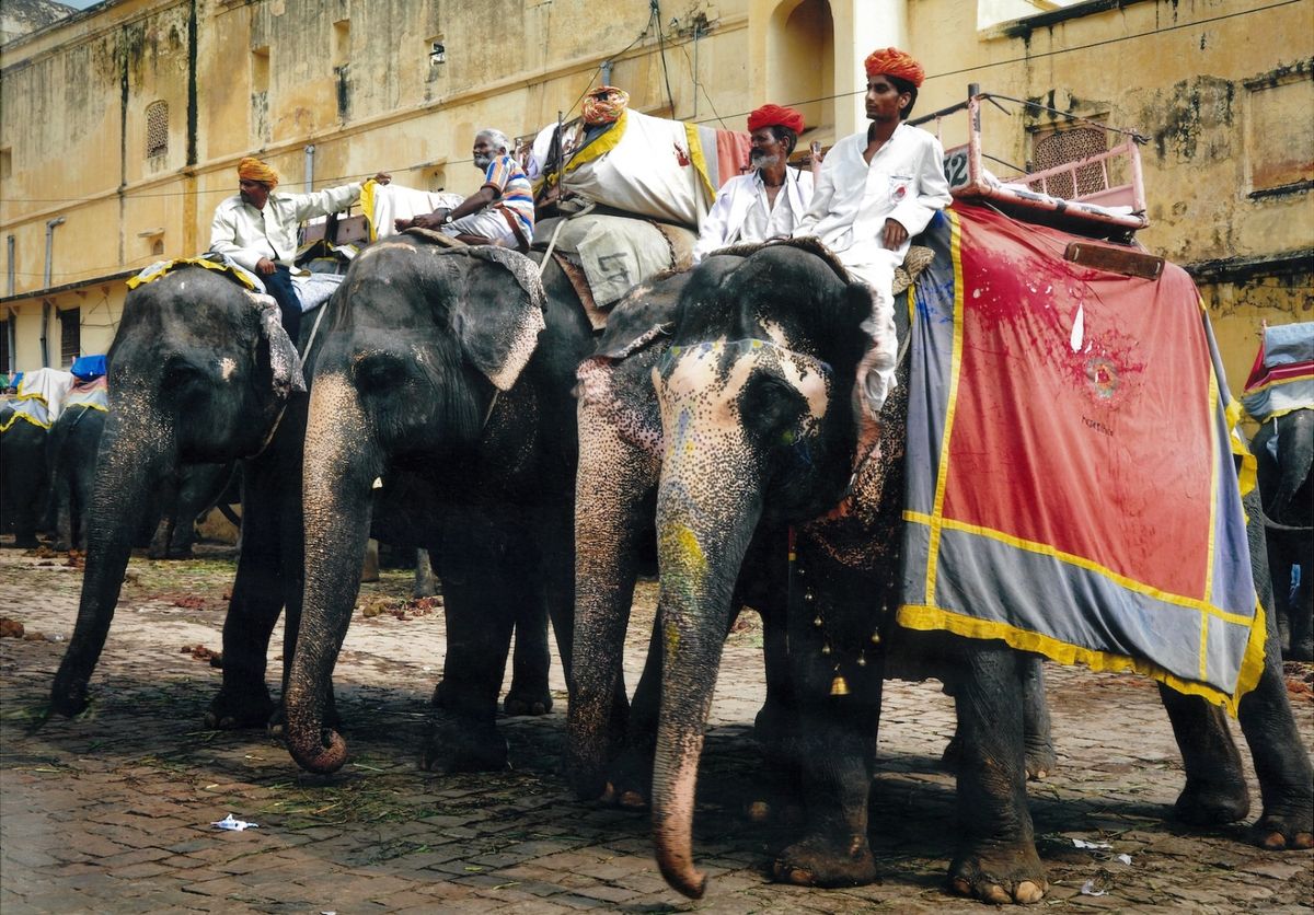 La muestra de fotografías de Atilio en un museo italiano será retrospectiva y reflejará sus viajes espirituales. La muestra de fotografías de Atilio en un museo italiano será retrospectiva y reflejará sus viajes espirituales.