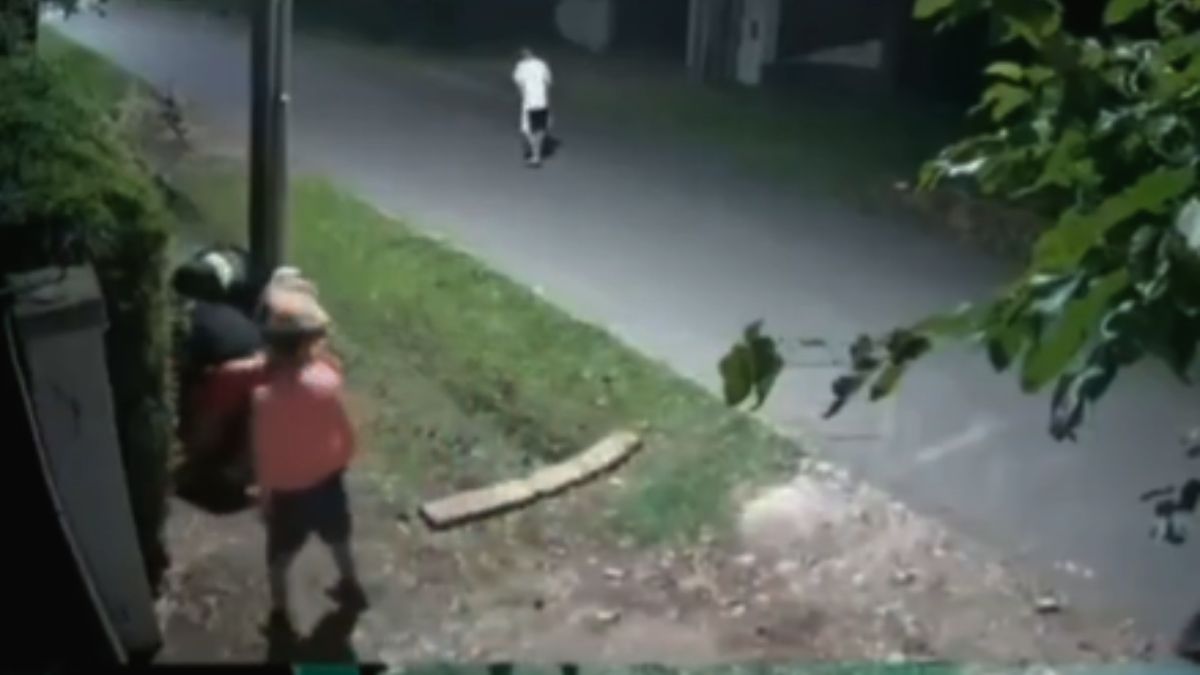 El robo piraña quedó registrado en las cámaras de seguridad.