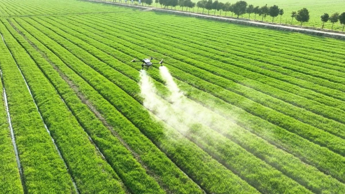 Foto: Pixabay Foto: Pixabay