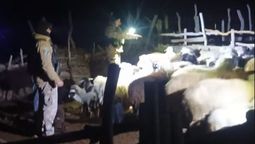 El operativo para recuperar las ovejas fue en Lavalle.