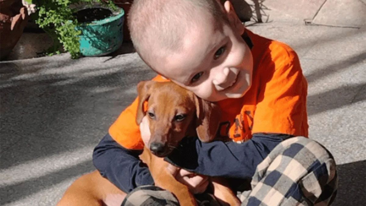 El pequeño Nico le dijo a su madre que no quiere estar más peladito.