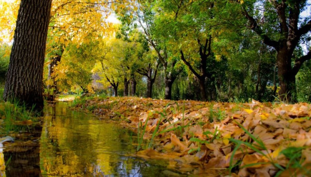 Una postal de Villa 25 de mayo en otoño. Imagen: Turismo San Rafael. Una postal de Villa 25 de mayo en otoño. Imagen: Turismo San Rafael.