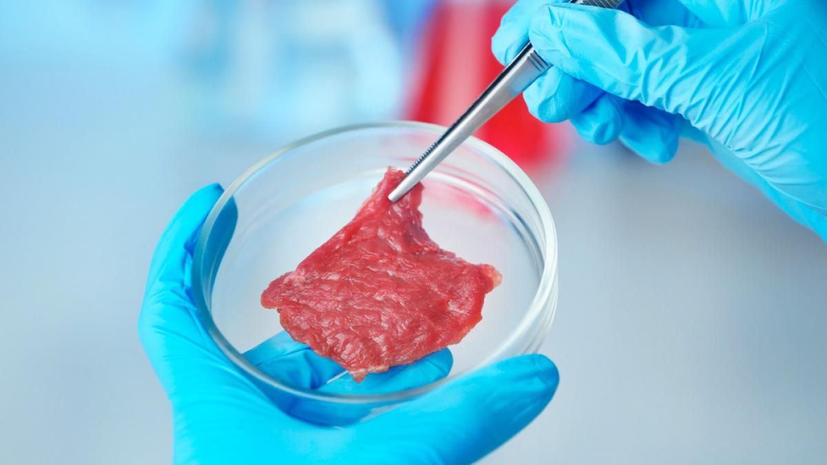 Ultra procesada pero nutritiva: esto se sabe hasta ahora de la carne cultivada en laboratorios