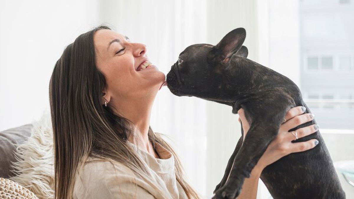 es antihigiénico dejar que un perro te lama la cara