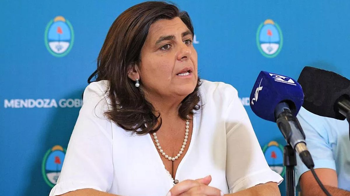 Mariana Juri.es senadora nacional hae dos semanas y ya se mostró en contra de los cambios que Diputados le hizo al poyecto. Este miércoles salió a difnudir su postura a través de Twitter.