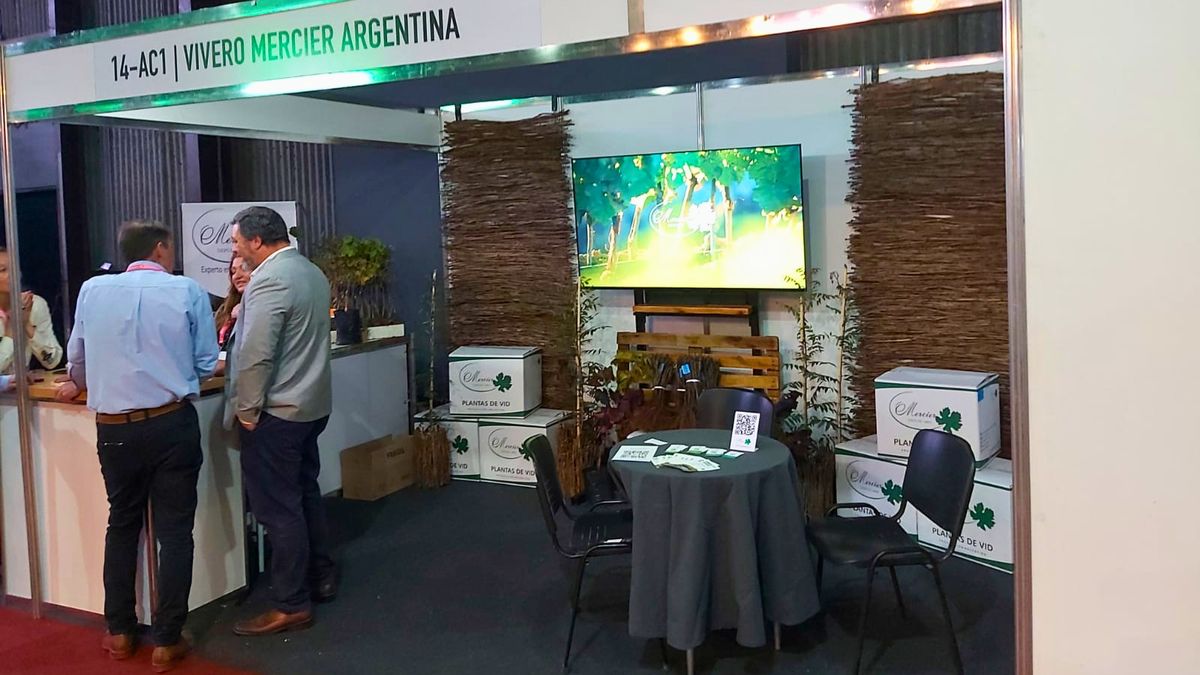 Plantines de vid importados para uva de mesa y más resistentes a enfermedades, una apuesta a la mejor productividad de los viñedos Plantines de vid importados para uva de mesa y más resistentes a enfermedades, una apuesta a la mejor productividad de los viñedos