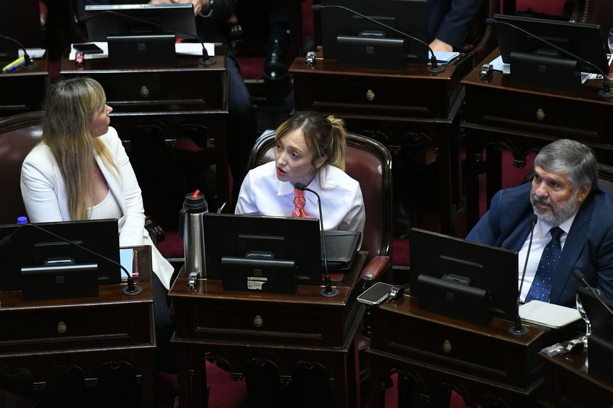 La mendocina Anabel Fernández Sagasti, La mendocina Anabel Fernández Sagasti,