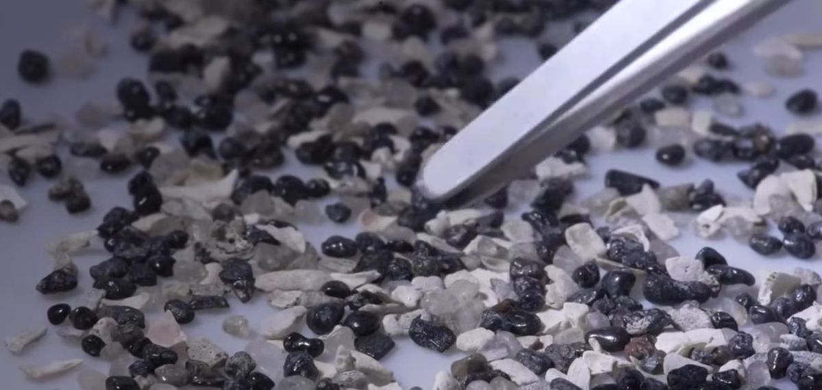 Descubrimiento histórico: un mundo perdido bajo la costa de Florida