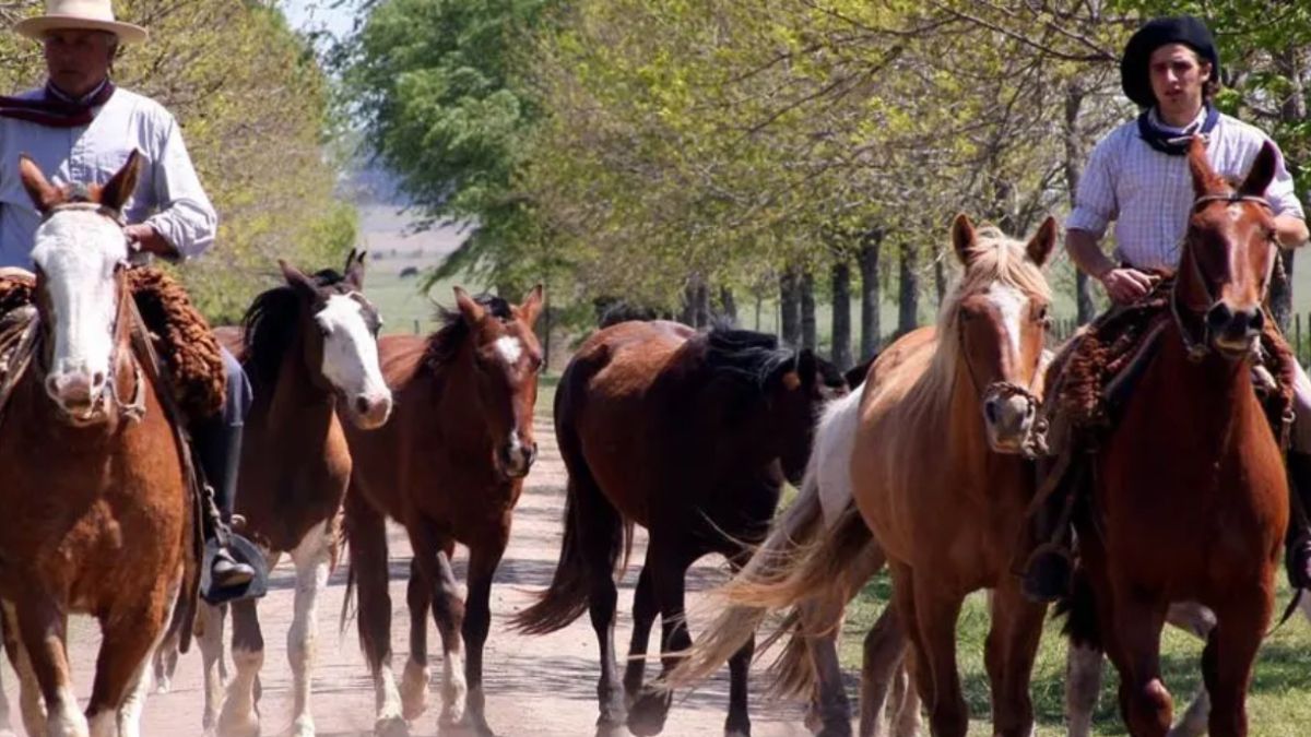 Desde Ganadería llevaron tranquilidad a la población ante el primer caso de Encefalomielitis Equina.