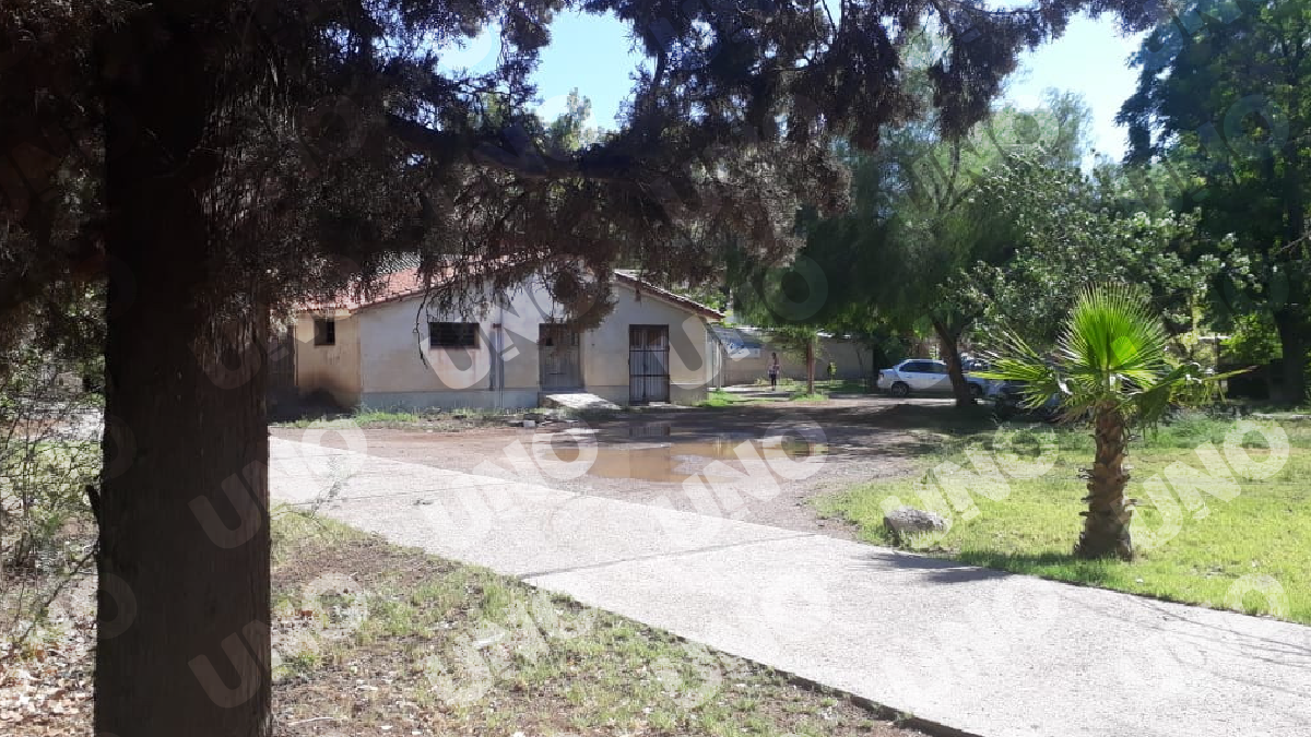 Durante el 2020 no pudieron verse por la pandemia, y en el 2021 se reencontraron en el Hospital El Sauce, donde Verónica lo visitaba cada dos semanas. Durante el 2020 no pudieron verse por la pandemia, y en el 2021 se reencontraron en el Hospital El Sauce, donde Verónica lo visitaba cada dos semanas.