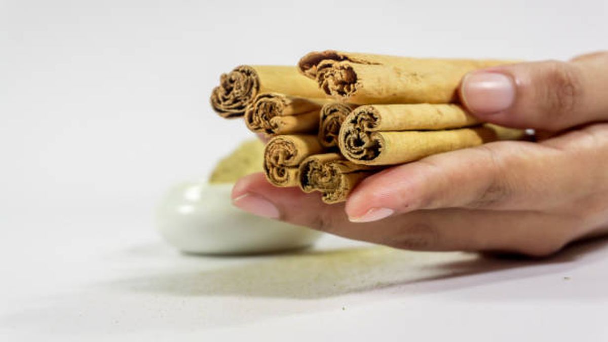 Calendario lunar: cuál es el mejor día para realizar estos rituales. Calendario lunar: cuál es el mejor día para realizar estos rituales.