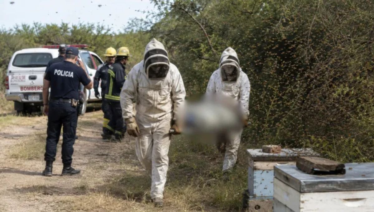 El trágico hecho ocurrió en Santiago del Estero.&nbsp;