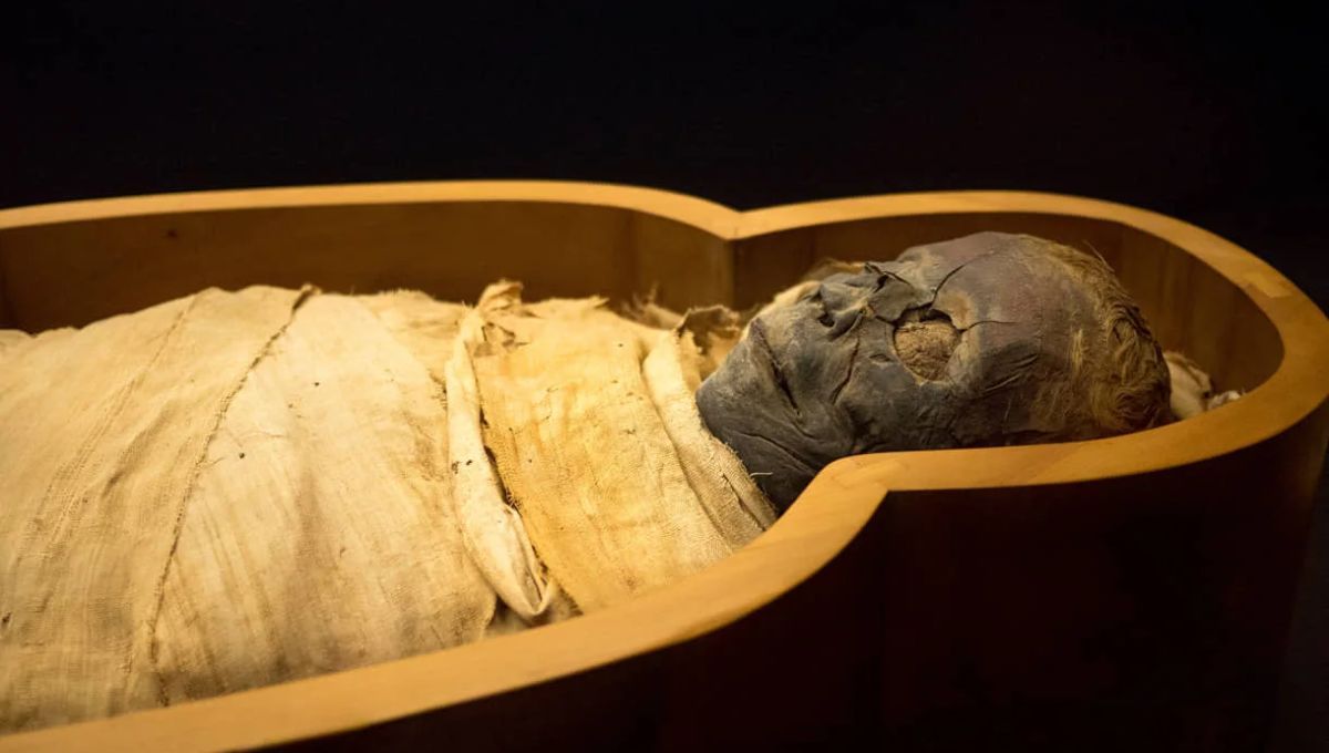 No es egipcia: expertos en arqueología confirman cuál es la momia más antigua de la historia