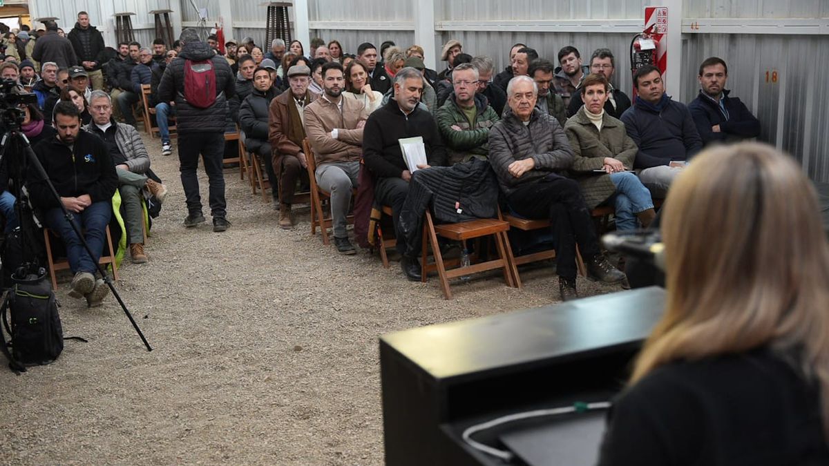 La audiciencia pública por el Proyecto San Jorge es un proceso histórico. Arranca la minería.