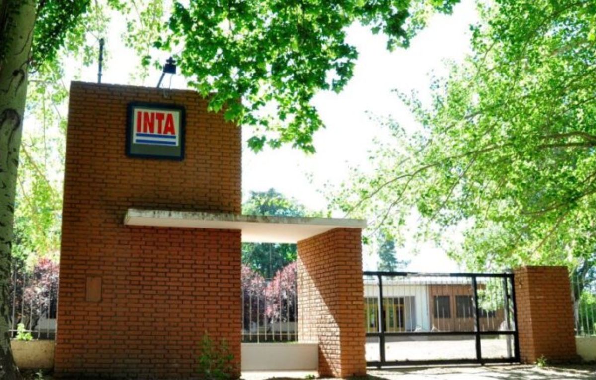 Para justificar su reestructuración, Economía afirma que el INTA "está sobredimensionado" y "se desvió de su propósito original" Para justificar su reestructuración, Economía afirma que el INTA "está sobredimensionado" y "se desvió de su propósito original"