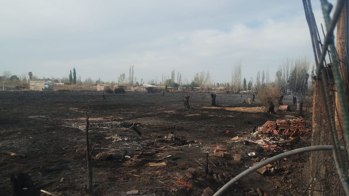Unas 6 hectáreas fueron consumidas por el fuego, este lunes por la tarde en un barrio de Los Corralitos, Guaymallén. Unas 6 hectáreas fueron consumidas por el fuego, este lunes por la tarde en un barrio de Los Corralitos, Guaymallén.