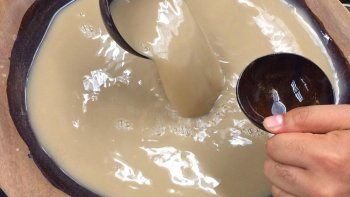 Kava, la bebida 