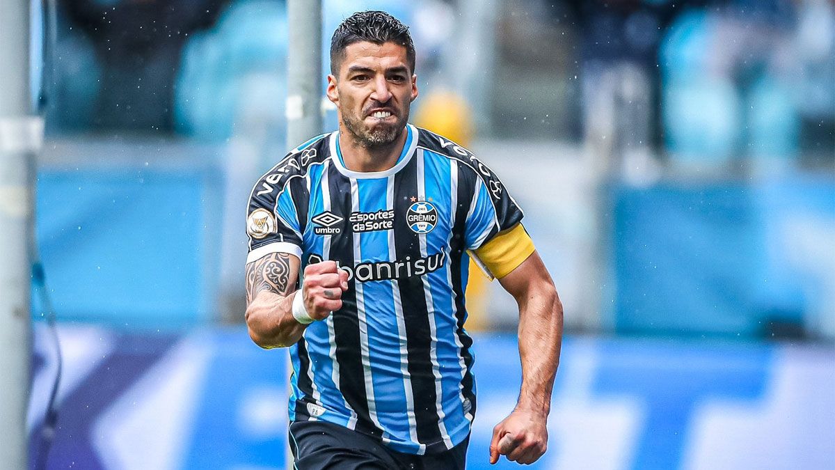 Luis Suárez marcó en el Gremio y le mandó un mensaje a Marcelo Bielsa, DT de Uruguay.