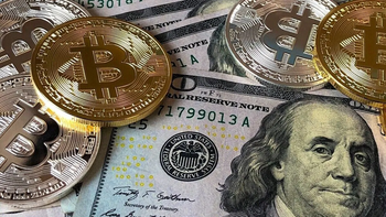 Cambian las reglas de juego para el dólar digital, uno de los principales refugios de los ahorristas argentinos Cambian las reglas de juego para el dólar digital, uno de los principales refugios de los ahorristas argentinos