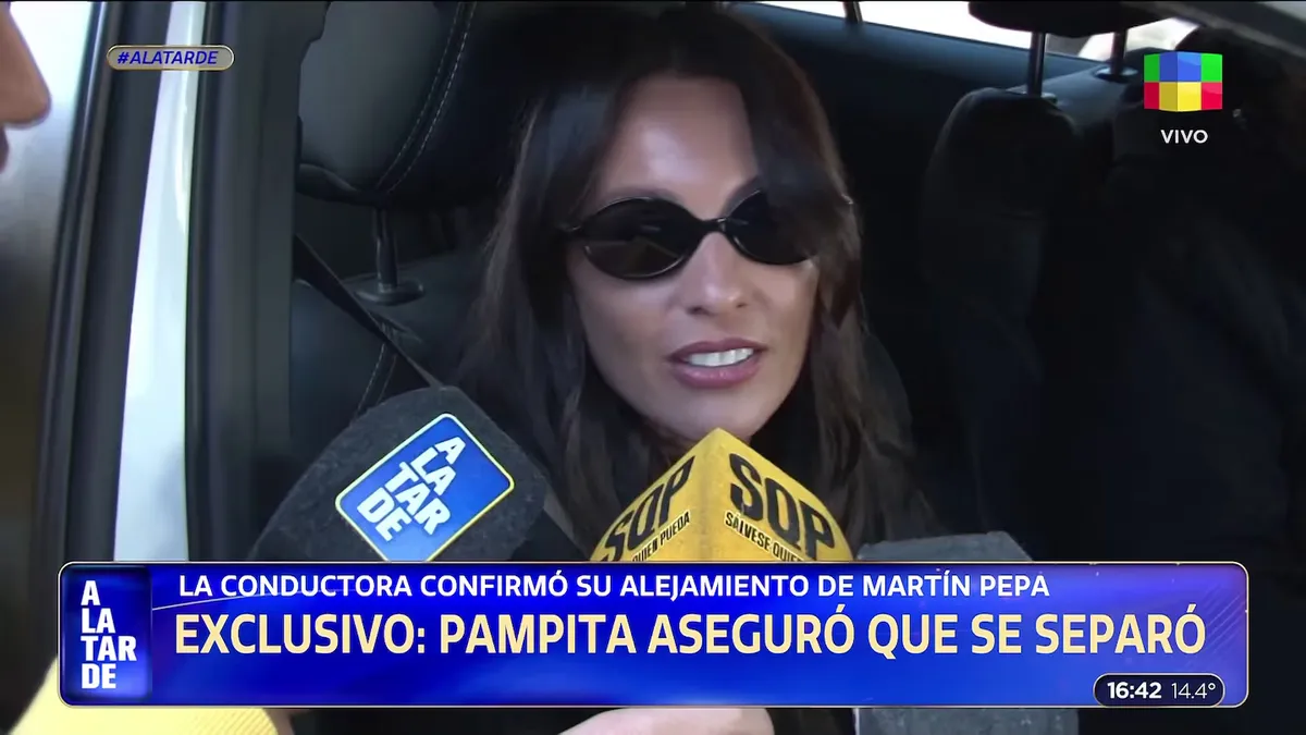 La verdad de Pampita sobre su separación.