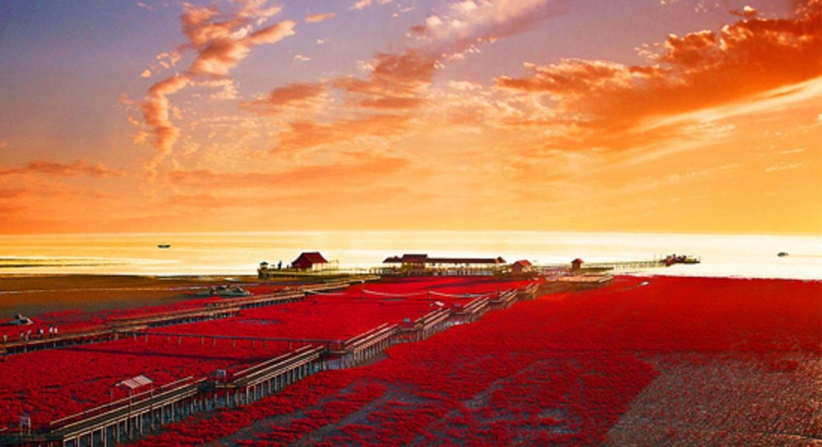 La playa roja: el fenómeno que cambia de color según la estación