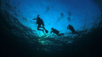 Películas sobre buceo que nos paralizaron el corazón