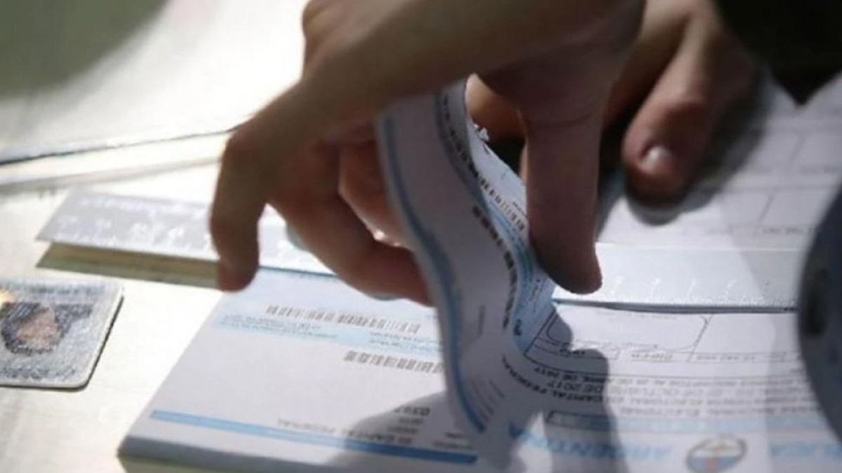 Hay varias justificaciones para excusarse de ser presidente de mesa en las PASO 2023. Hay varias justificaciones para excusarse de ser presidente de mesa en las PASO 2023.