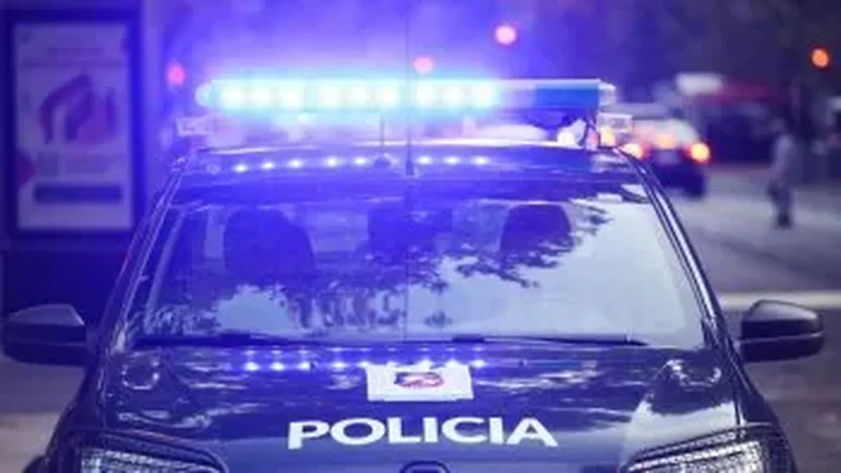 La camioneta pasó de largo sobre la rotonda de San Francisco de Asís; el conductor tenía 0,99 g/l de alcohol en sangre. La camioneta pasó de largo sobre la rotonda de San Francisco de Asís; el conductor tenía 0,99 g/l de alcohol en sangre.