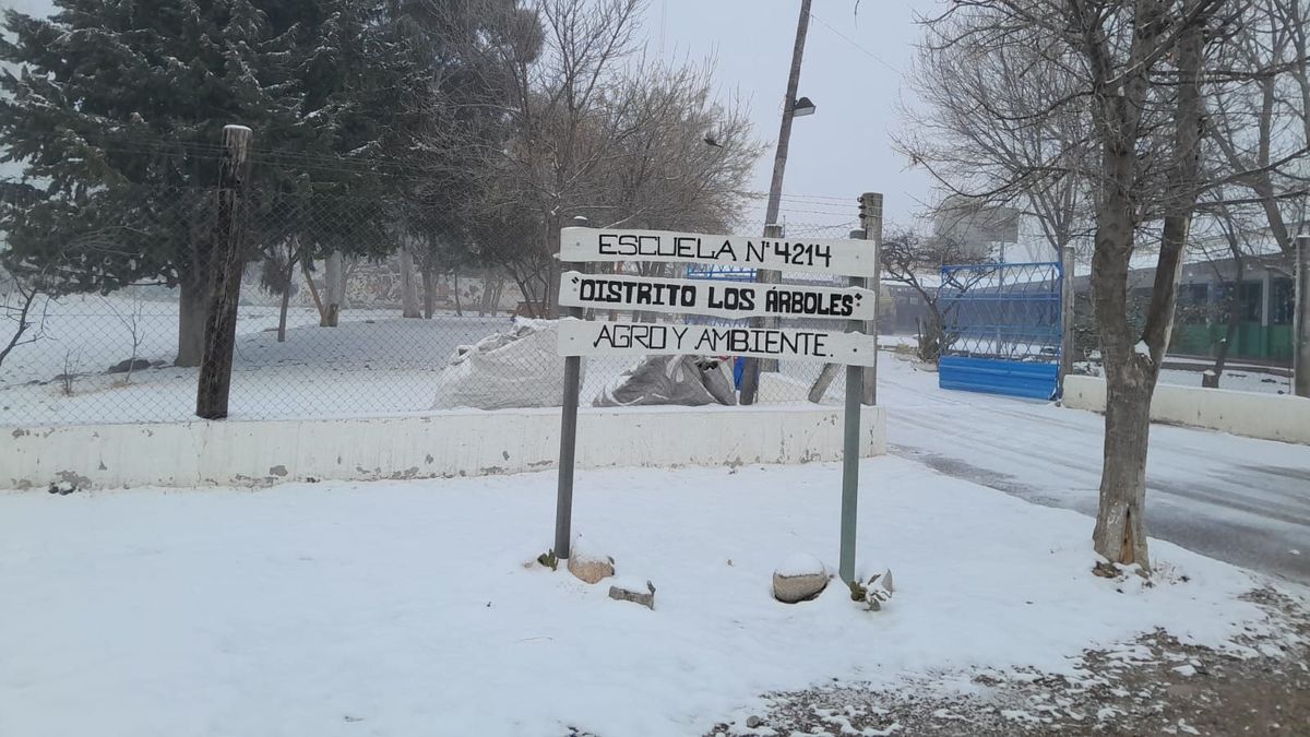La DGE suspendió las clases en zonas de 3 departamentos para el turno mañana tras las nevadas