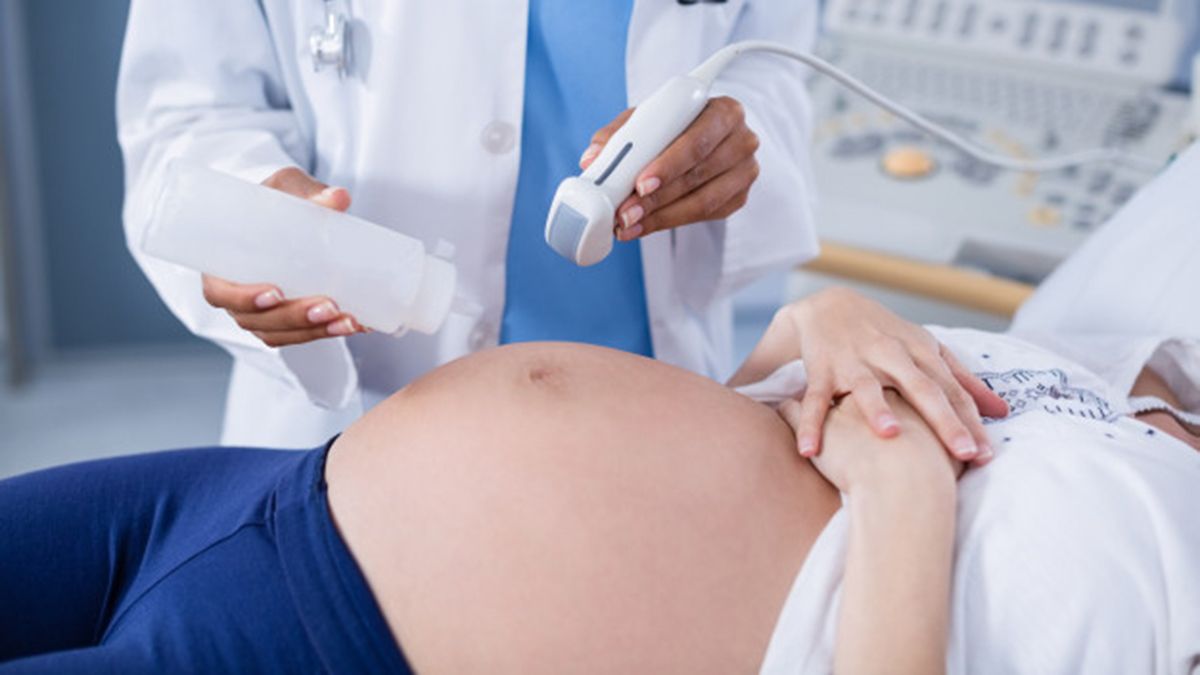 Las embarazadas pueden recibir la vacuna rusa Sputnik V