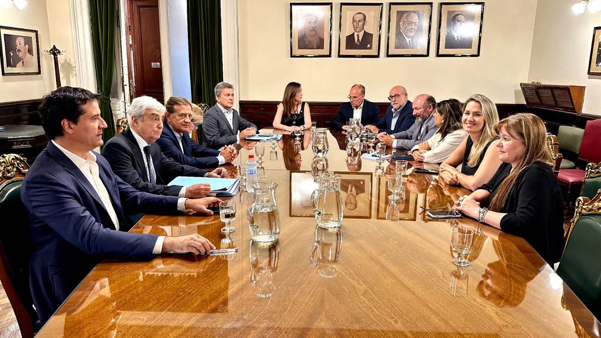 LDe la reunión con Victoria Villarruel, participaron Rodolfo Suarez y Mariana Juri.