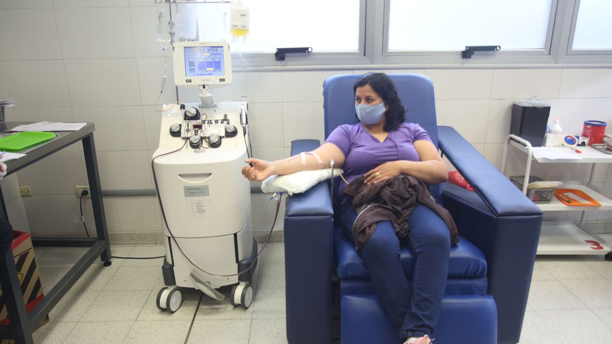 Mendoza 04/09/20Pacientes recuperados de coronavirus pueden realizar hasta 2 donaciones de plasma por semana 