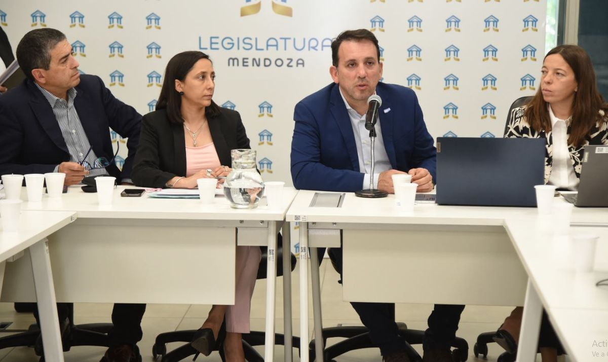 Tadeo García Zalazar se presentó ante comisiones para detallar el  proyecto de multas para padres ante casos de bullying.