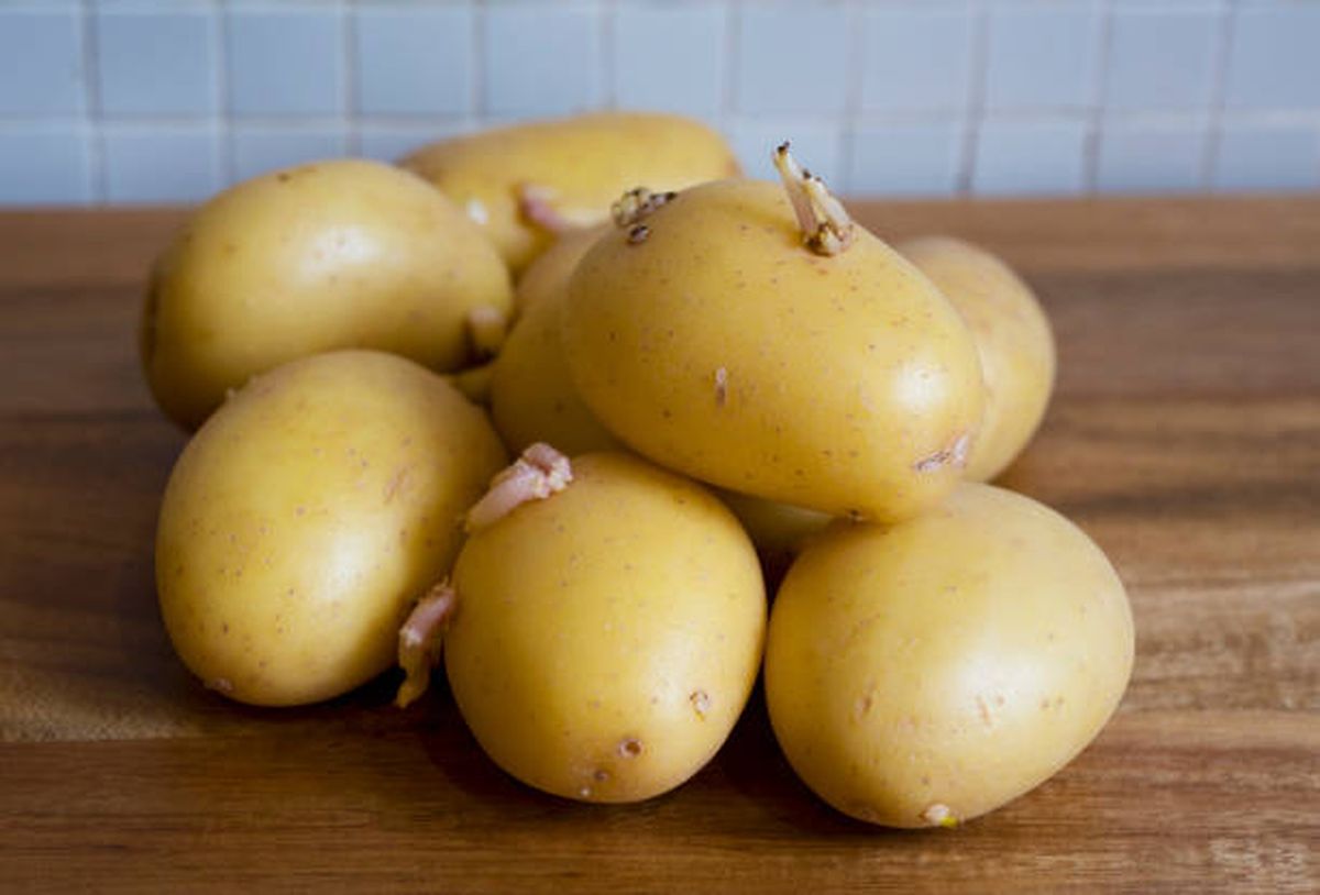 En estos casos, tendremos que tirar la papa. En estos casos, tendremos que tirar la papa.