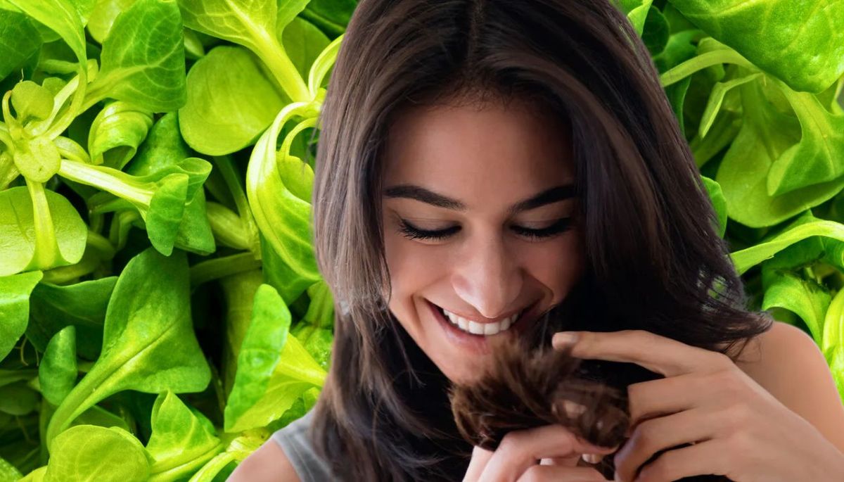 Descubre los beneficios de la rúcula. Imagen: Redacción Diario Uno