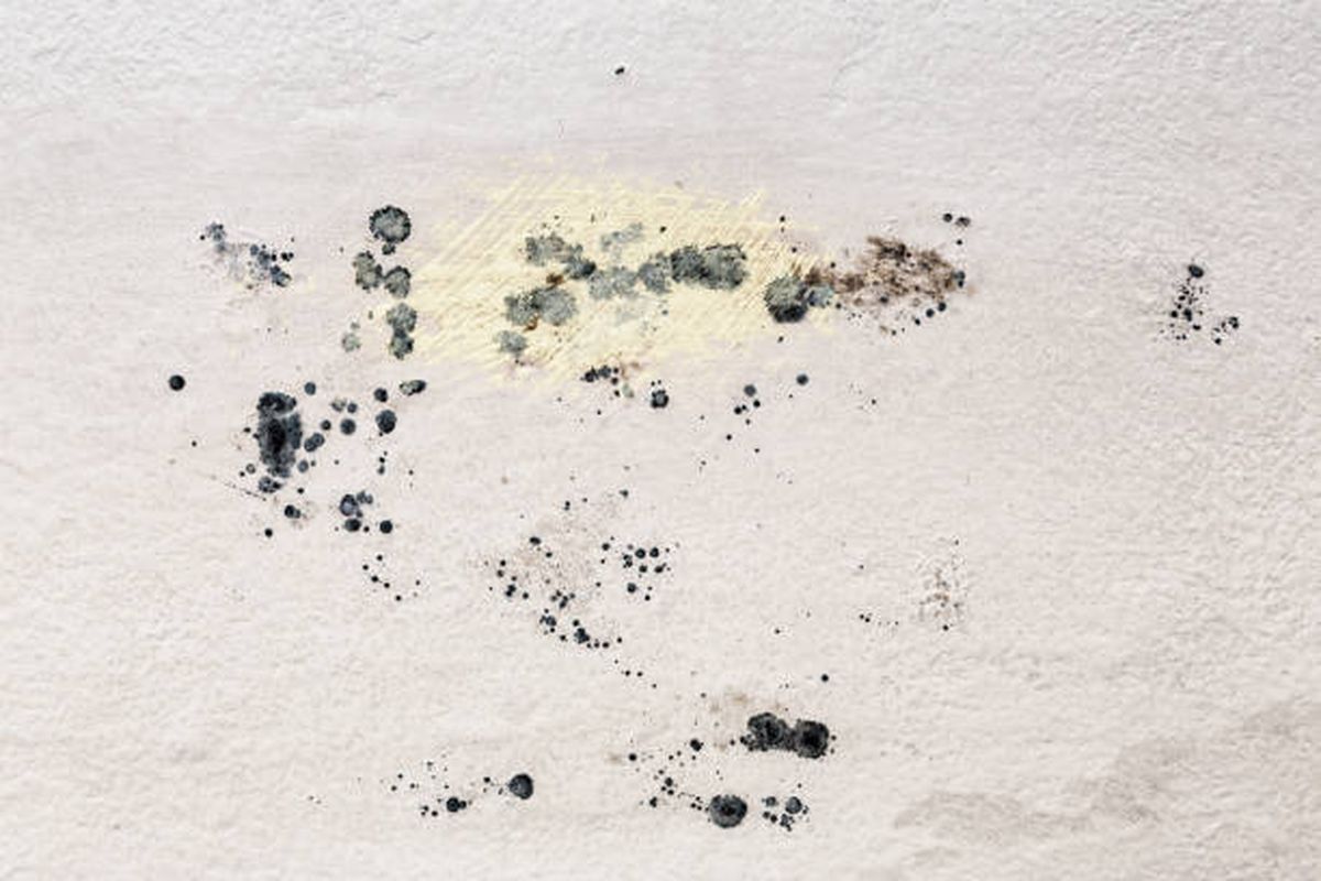 Ponele fin a la humedad de tus paredes. Ponele fin a la humedad de tus paredes.