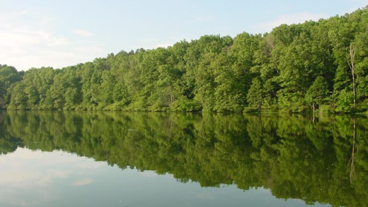 Parque Estatal David Crockett, Tennessee. Fuente: De Christopher Hollis Parque Estatal David Crockett, Tennessee. Fuente: De Christopher Hollis 