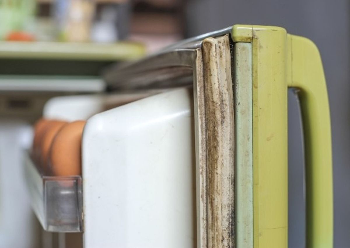 Un truco casero definitivo para dejar impecable la heladera